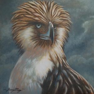 South Philippine Hawk Eagle